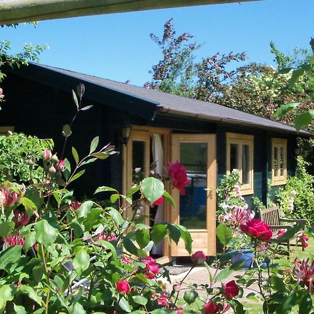 Pet Friendly - Hikers Paradise - South Facing Wells Eksteriør bilde